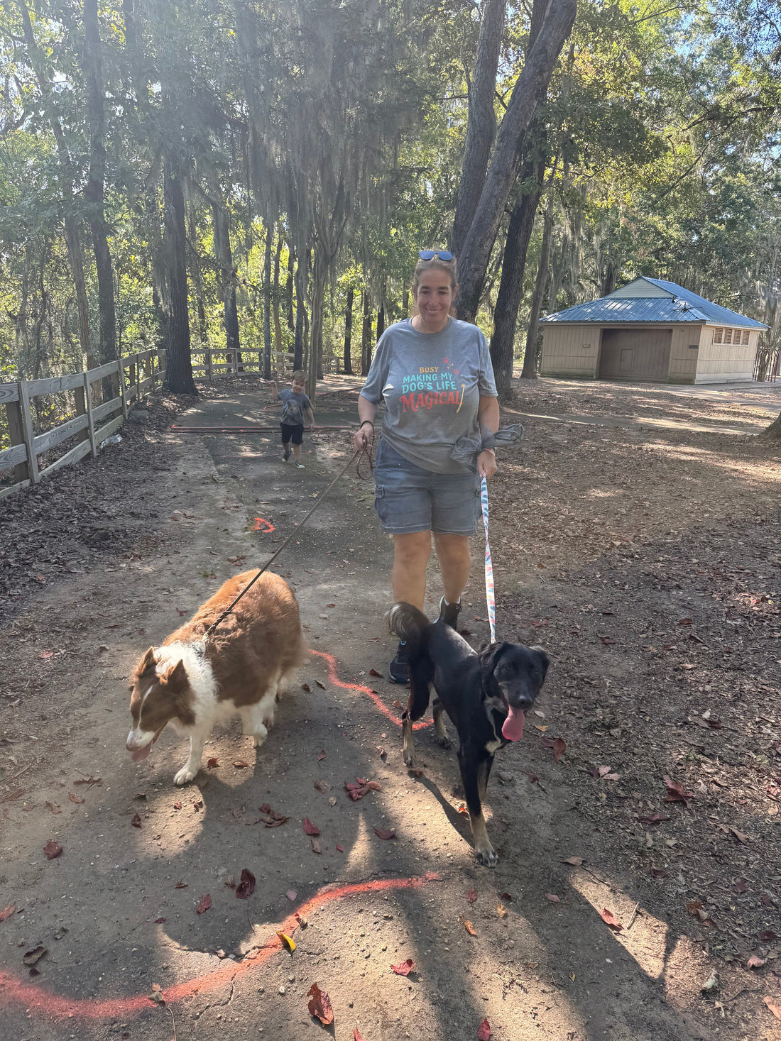 Person walking two dogs on leashes along a wooded trail, with one dog calmly passing another dog nearby.