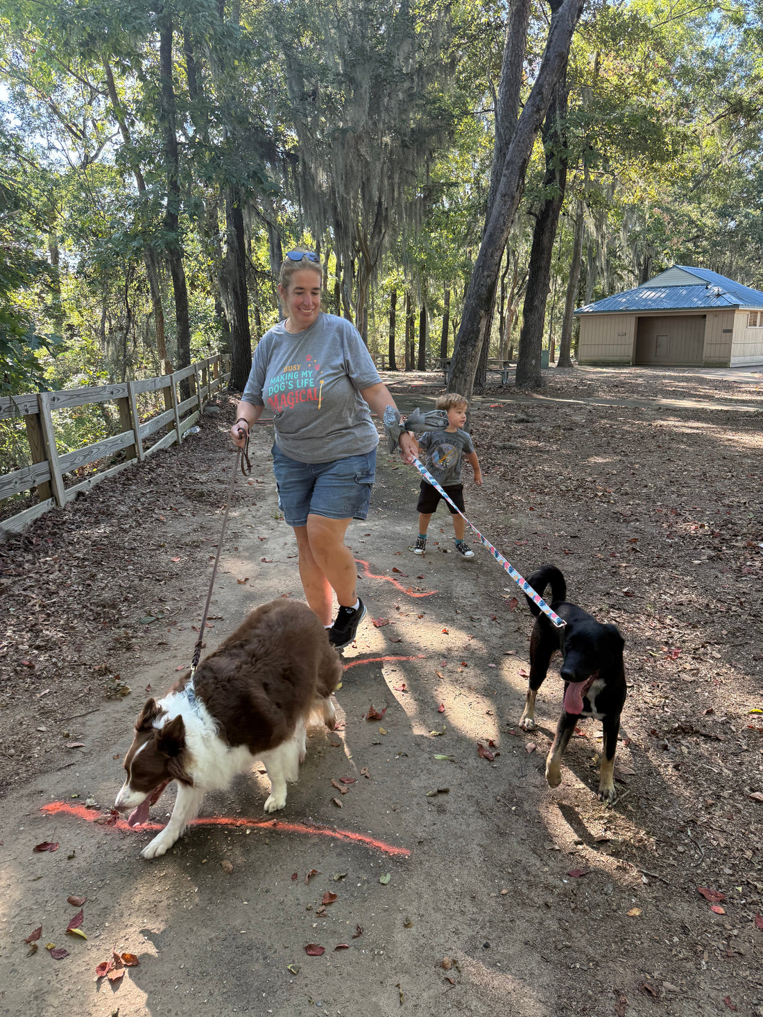 Person walking two dogs on leashes along a wooded trail, with one dog calmly passing another dog nearby.