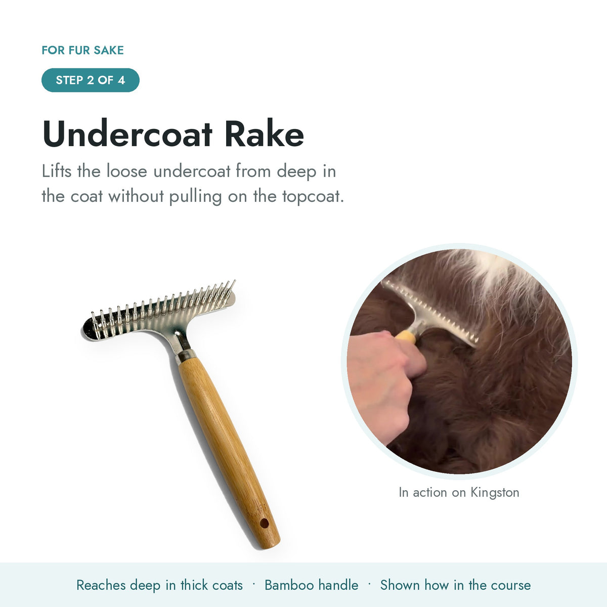 Step 2, undercoat rake lifting loose undercoat from a double coated dog