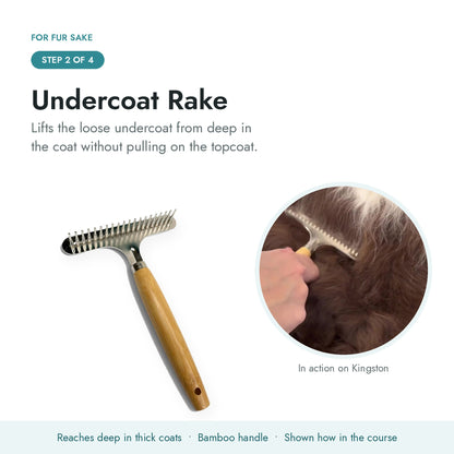 Step 2, undercoat rake lifting loose undercoat from a double coated dog