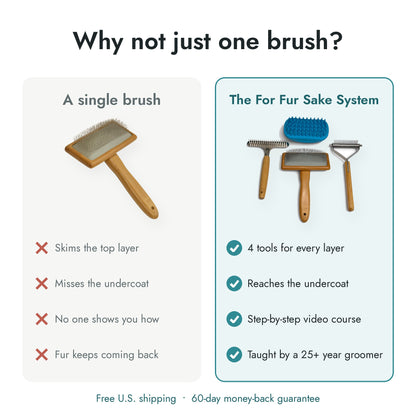 Comparison of a single dog brush versus the For Fur Sake 4-tool deshedding system with video course